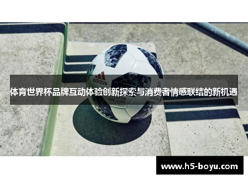 体育世界杯品牌互动体验创新探索与消费者情感联结的新机遇