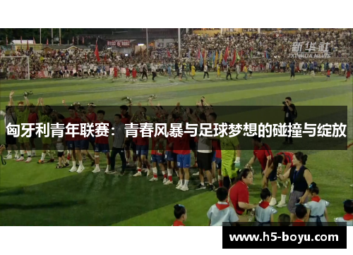 匈牙利青年联赛：青春风暴与足球梦想的碰撞与绽放