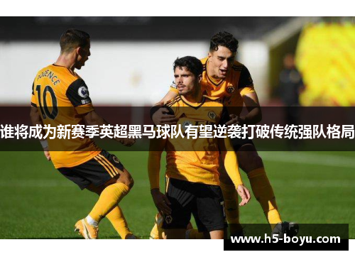 谁将成为新赛季英超黑马球队有望逆袭打破传统强队格局