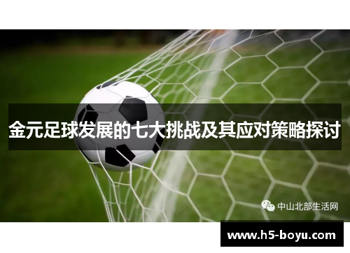 金元足球发展的七大挑战及其应对策略探讨