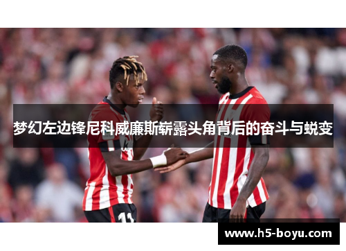 梦幻左边锋尼科威廉斯崭露头角背后的奋斗与蜕变