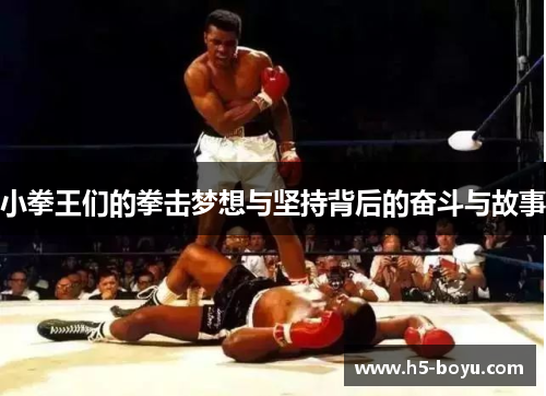 小拳王们的拳击梦想与坚持背后的奋斗与故事