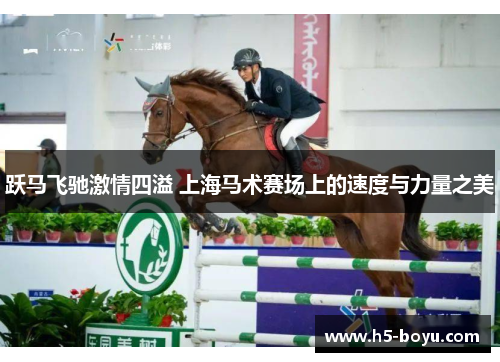 跃马飞驰激情四溢 上海马术赛场上的速度与力量之美