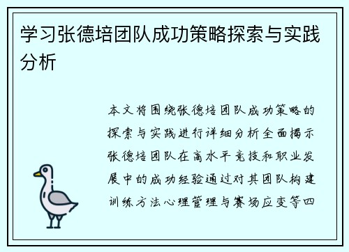 学习张德培团队成功策略探索与实践分析